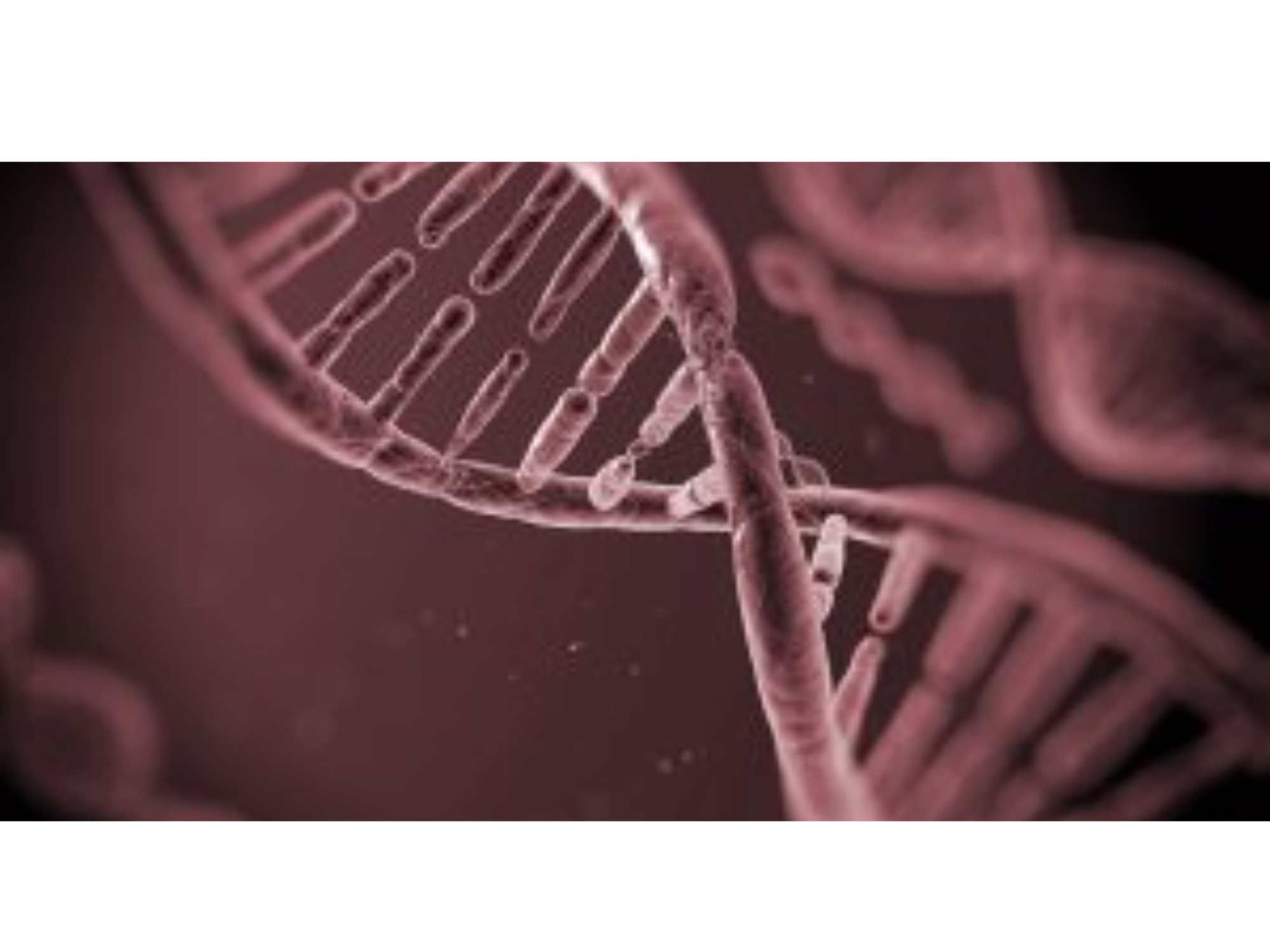 What are POLYNUCLEOTIDES ?